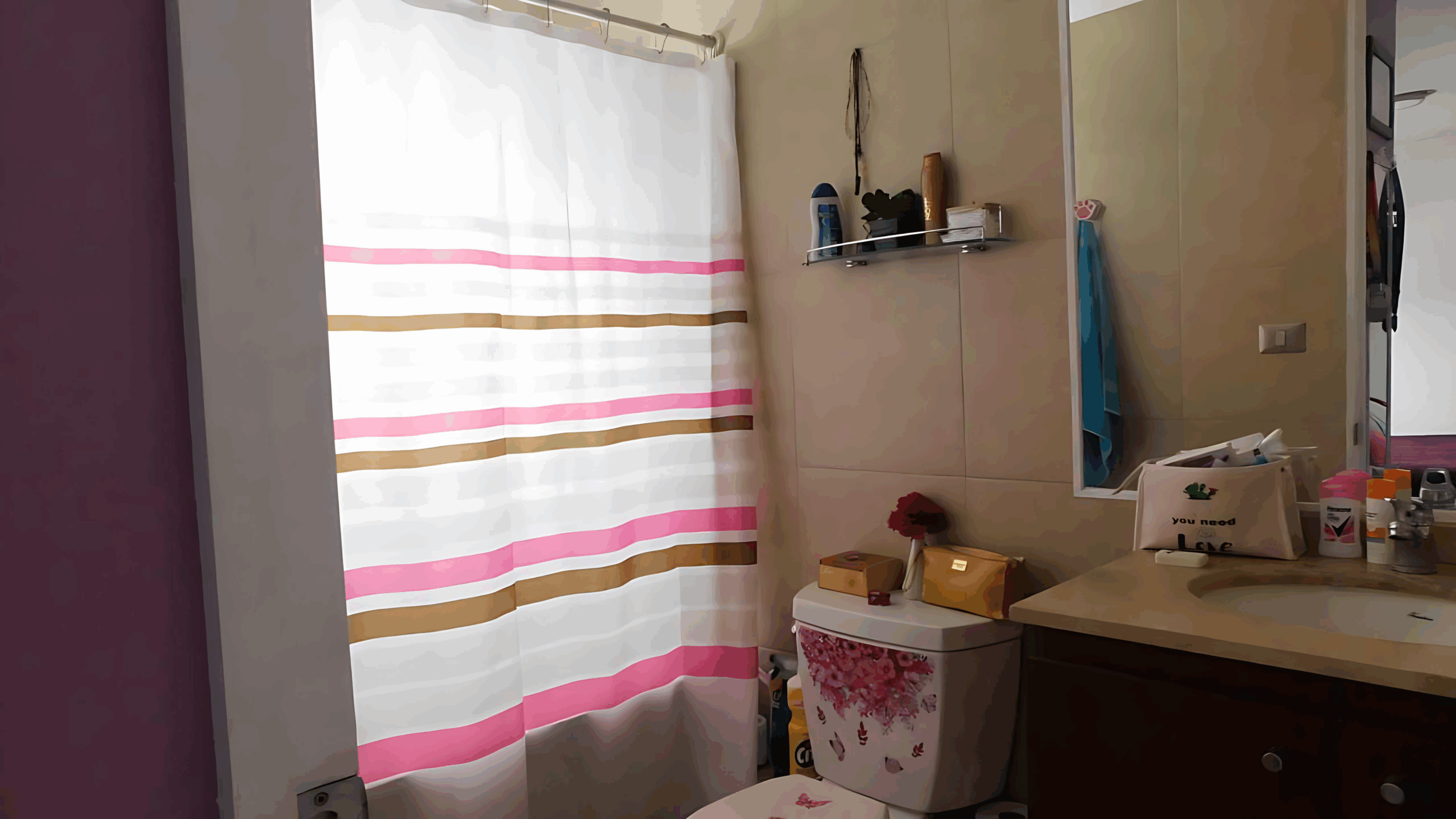 Baño N