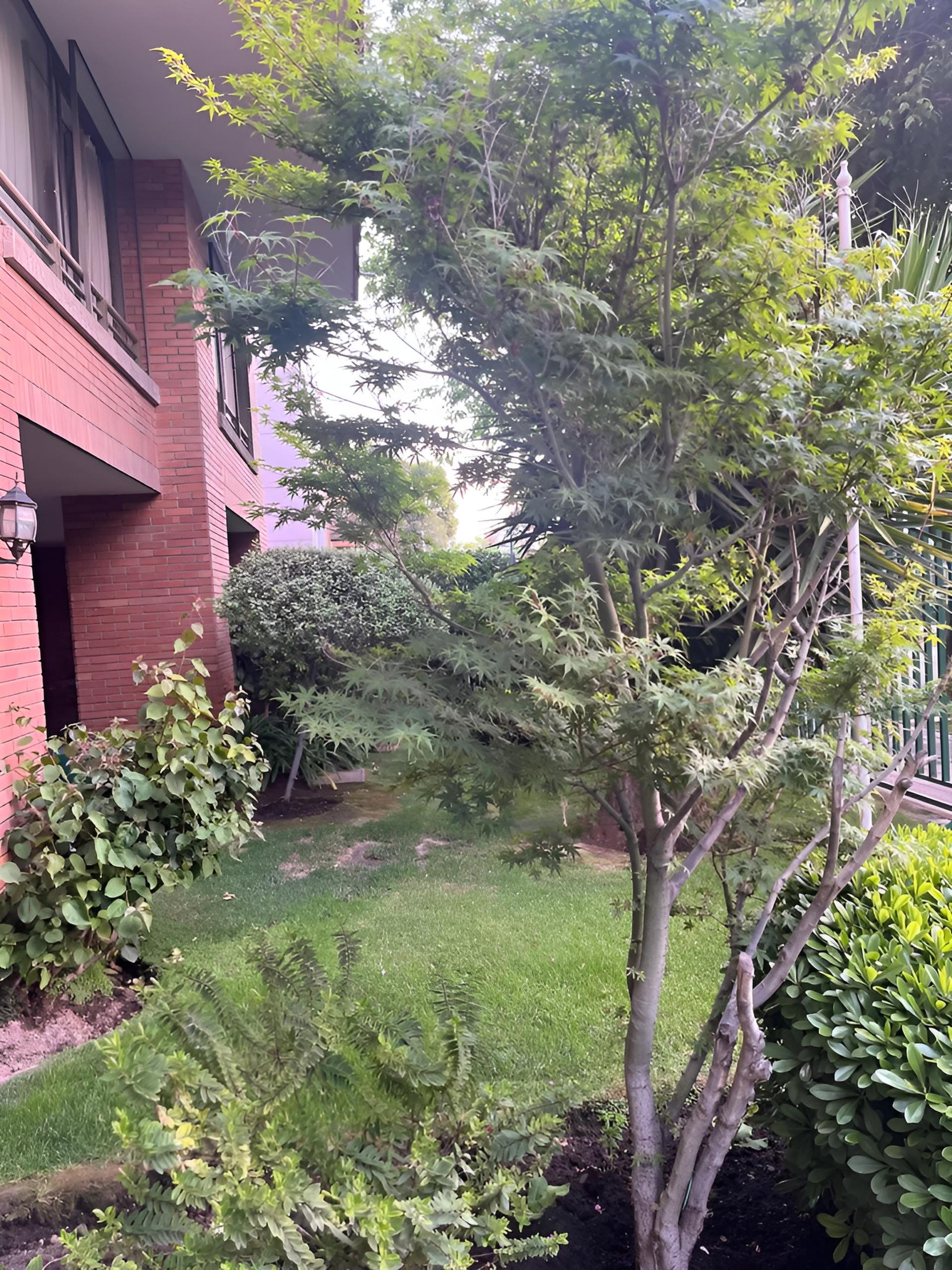 jardin